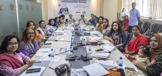 নবায়ন যোগ্য জ্বালানিতে নারীর অন্তর্ভুক্তি হতে পারে ক্ষমতায়নের নতুন দিগন্ত