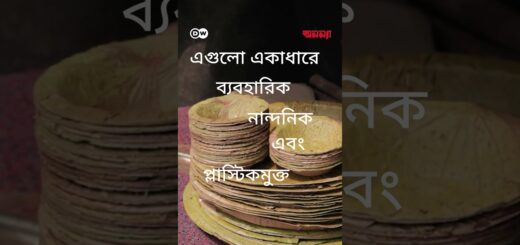 পাতার তৈরি টেকসই থালা | Anannya | DW