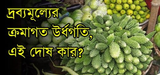 দ্রব্যমূল্যের ক্রমাগত ঊর্ধ্বগতি, এ দায় কার?