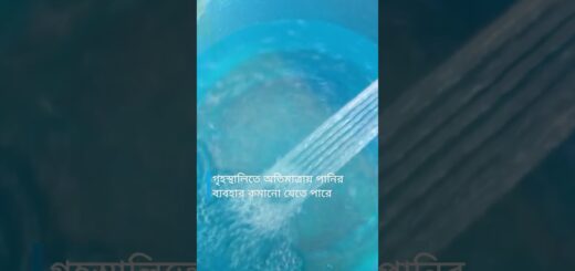 বেঙ্গালুরুর জলব্যবস্থাপনা কৌশল