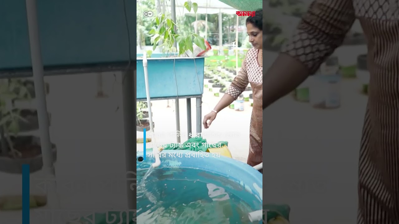 একোয়াপনিক্স: সহজ এবং টেকসই কৃষি