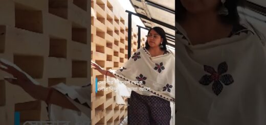 ভারতের মরুভূমিতে জলবায়ু সহনশীল স্কুল