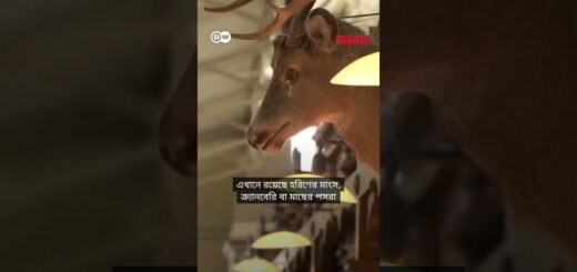সবচেয়ে সুখী দেশের রাজধানীতে একদিন | Anannya | DW#anannya_magazine #anannyamagazine #ম্যাগাজিন #নারী