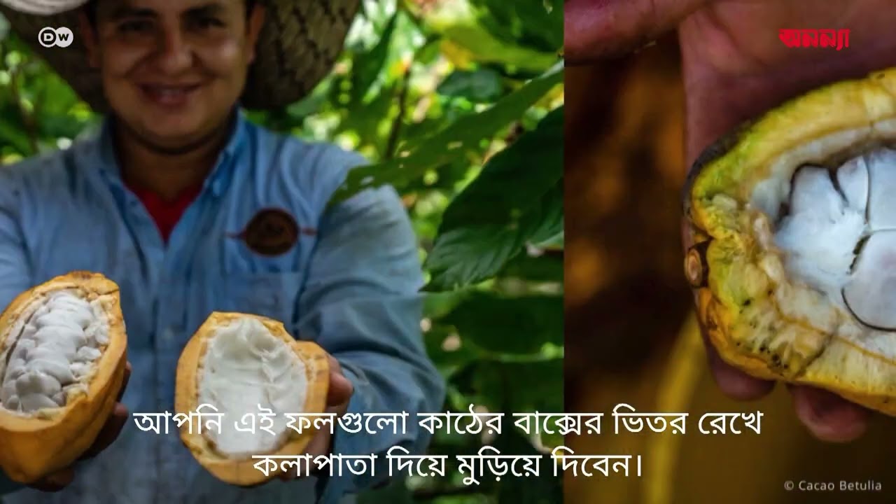 কিভাবে সুইস চকলেট তৈরি হয় | DW | Anannya | Food