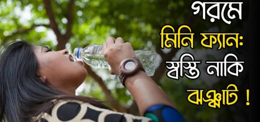 গরমে মিনি ফ্যান: স্বস্তি নাকি ঝঞ্ঝাট ! | Anannya | Heat Wave