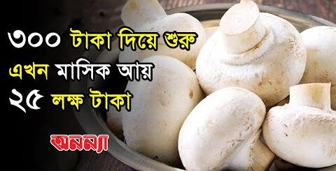 ৩০০ টাকা দিয়ে ব্যবসা শুরু করে ২৫ লক্ষ টাকা মাসিক আয় মরিয়মের | Mushroom | Anannya