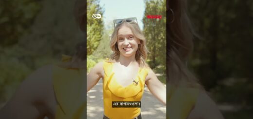 জার্মানের তিনটি জনপ্রিয় প্রাসাদ | Anannya | DW#anannya_magazine #anannyamagazine #ম্যাগাজিন #DW