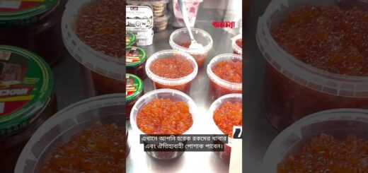 কাজাখস্তানের নজরকাড়া পর্বতমালা | Anannya | DW#anannya_magazine #anannyamagazine #ম্যাগাজিন #নারী