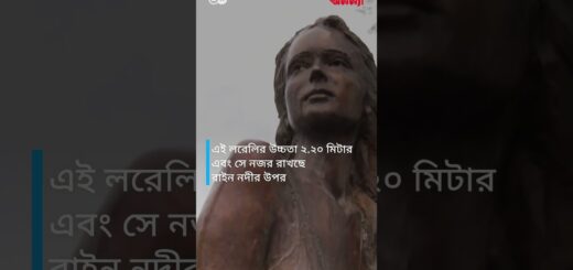মধ্য রাইনের লরেলি পাথরটির কথা শুনেছেন আপনি