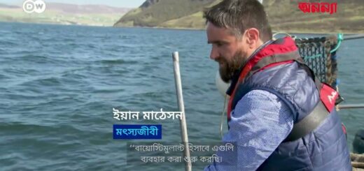 শৈবালের চাষে স্কটিশ দ্বীপের আশা | Anannya | DW