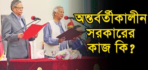 অন্তর্বর্তীকালীন সরকারের কাজ কি?