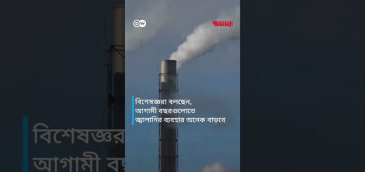 ইউরোপের জোড়াতালির জ্বালানিনীতি| Anannya | DW