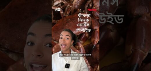 কাঁকড়ারা কোকেইনে আসক্ত? | Anannya | DW
