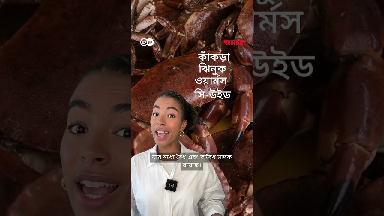 কাঁকড়ারা কোকেইনে আসক্ত? | Anannya | DW