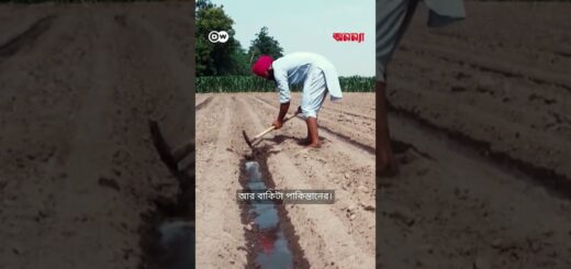 বাসমতি চালের স্বত্ব নিয়ে ভারত-পাকিস্তান বিরোধ ফের তুঙ্গে | Anannya | DW