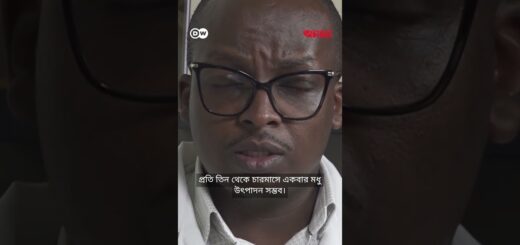 কেনিয়ার মৌচাষীরা মধু উৎপাদনের বিকল্প হিসেবে মৌমাছির বিষের দিকে ঝুঁকছেন | Anannya | DW