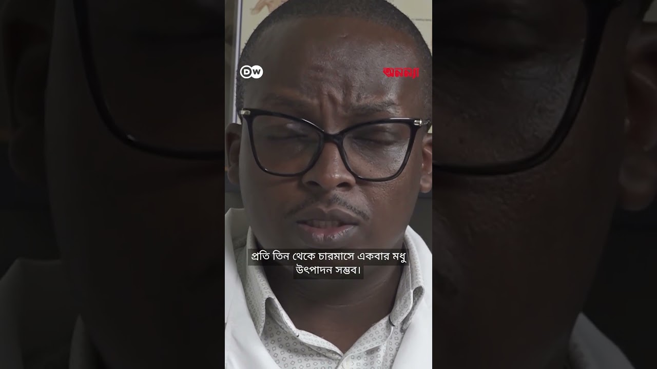 কেনিয়ার মৌচাষীরা মধু উৎপাদনের বিকল্প হিসেবে মৌমাছির বিষের দিকে ঝুঁকছেন | Anannya | DW