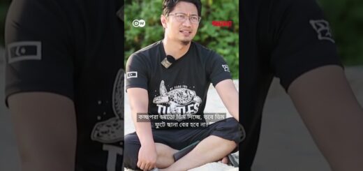 জলবায়ু পরিবর্তন বিলুপ্তির দিকে ঠেলে দিচ্ছে মালয়েশিয়ার কচ্ছপ | Anannya | DW
