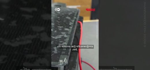 সাগরের সুরক্ষায় প্রবালপ্রাচীরের অন্তত গুরুত্বপূর্ণ ভূমিকা পালন করে | Anannya | DW