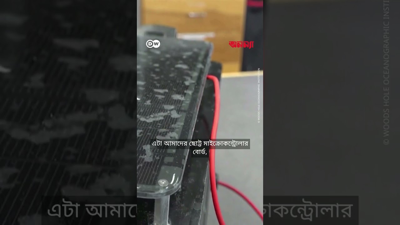 সাগরের সুরক্ষায় প্রবালপ্রাচীরের অন্তত গুরুত্বপূর্ণ ভূমিকা পালন করে | Anannya | DW