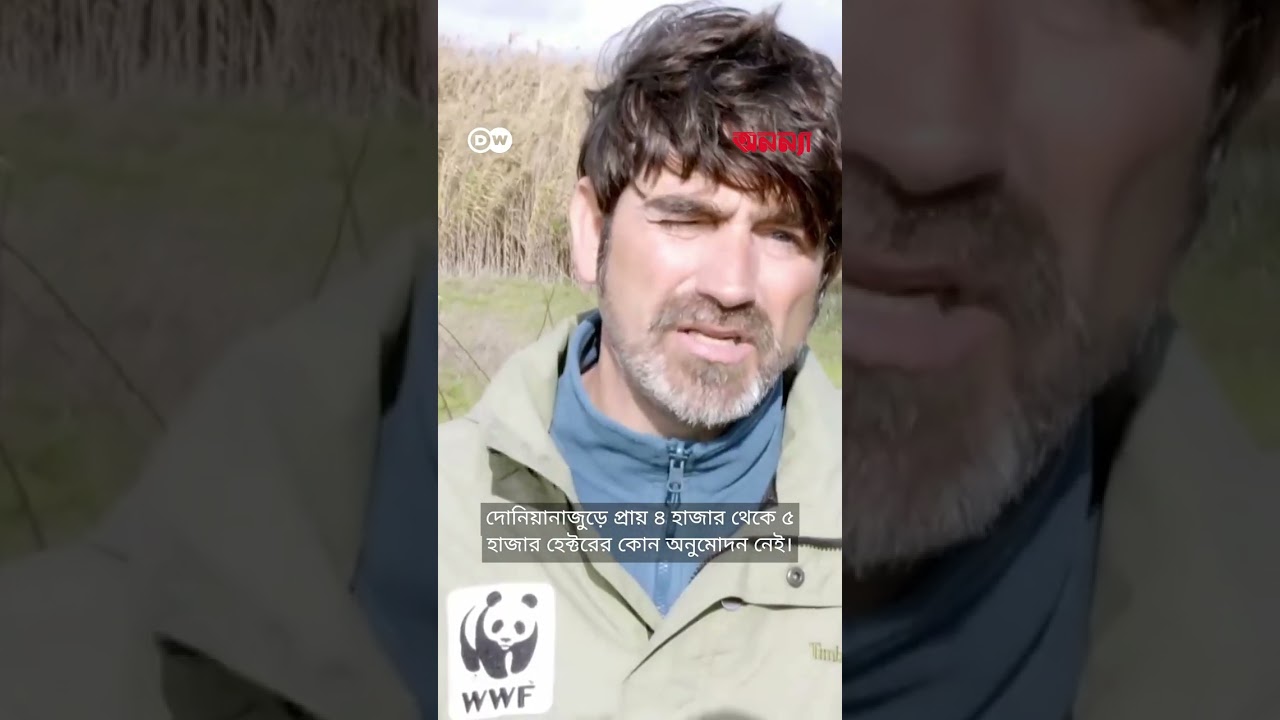 ইউরোপের বৃহত্তম জলাভূমি রক্ষায় স্পেনে বিশাল কর্মযজ্ঞ | Anannya | DW