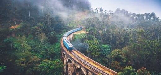 দেশের বাইরে প্রথম ভ্রমণ
