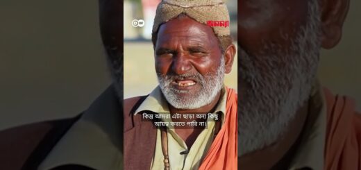 পাকিস্তানে জীবিকা নির্বাহে জীবনের ঝুঁকি নিচ্ছেন সাপুড়েরা | Anannya | DW