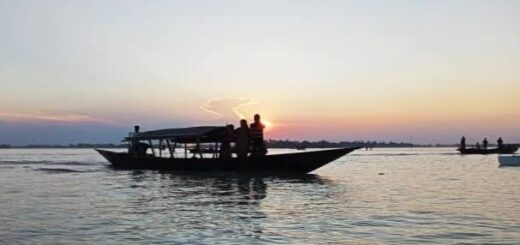 ভ্রমণ পিপাসুদের টানছে রৌমারি বিল