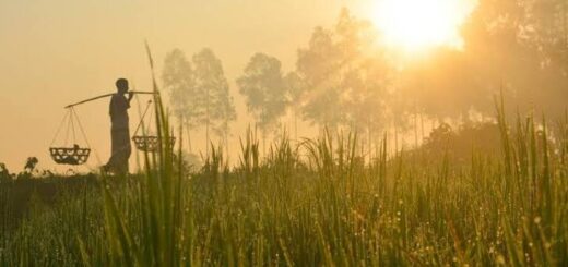 ঋতুকন্যা হেমন্ত