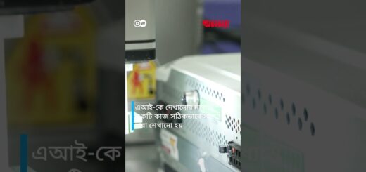 এআই এখন দেখতেও পায় | Anannya | DW