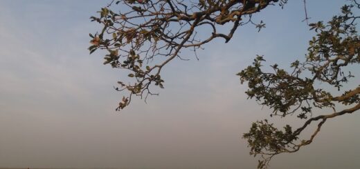 হেমন্তের নীরবতা