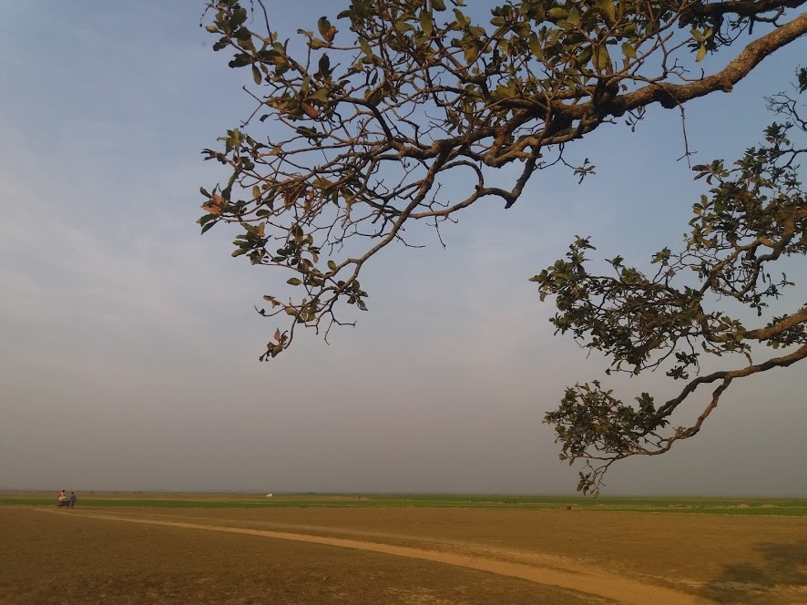 হেমন্তের নীরবতা