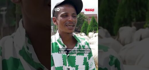 নাইজেরিয়ার শহরের রাস্তায় খাবার খুঁজে গরুর পাল | Anannya | DW