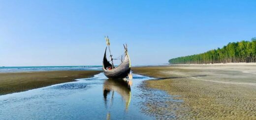 ইনানী ঘুরতে যাবেন যে কারণে