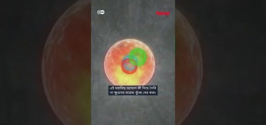 অন্তর্জালে ঘুরে বেড়ানোর জন্য সার্ন কোলাইডারকে ধন্যবাদ দিতে পারেন | Anannya | DW