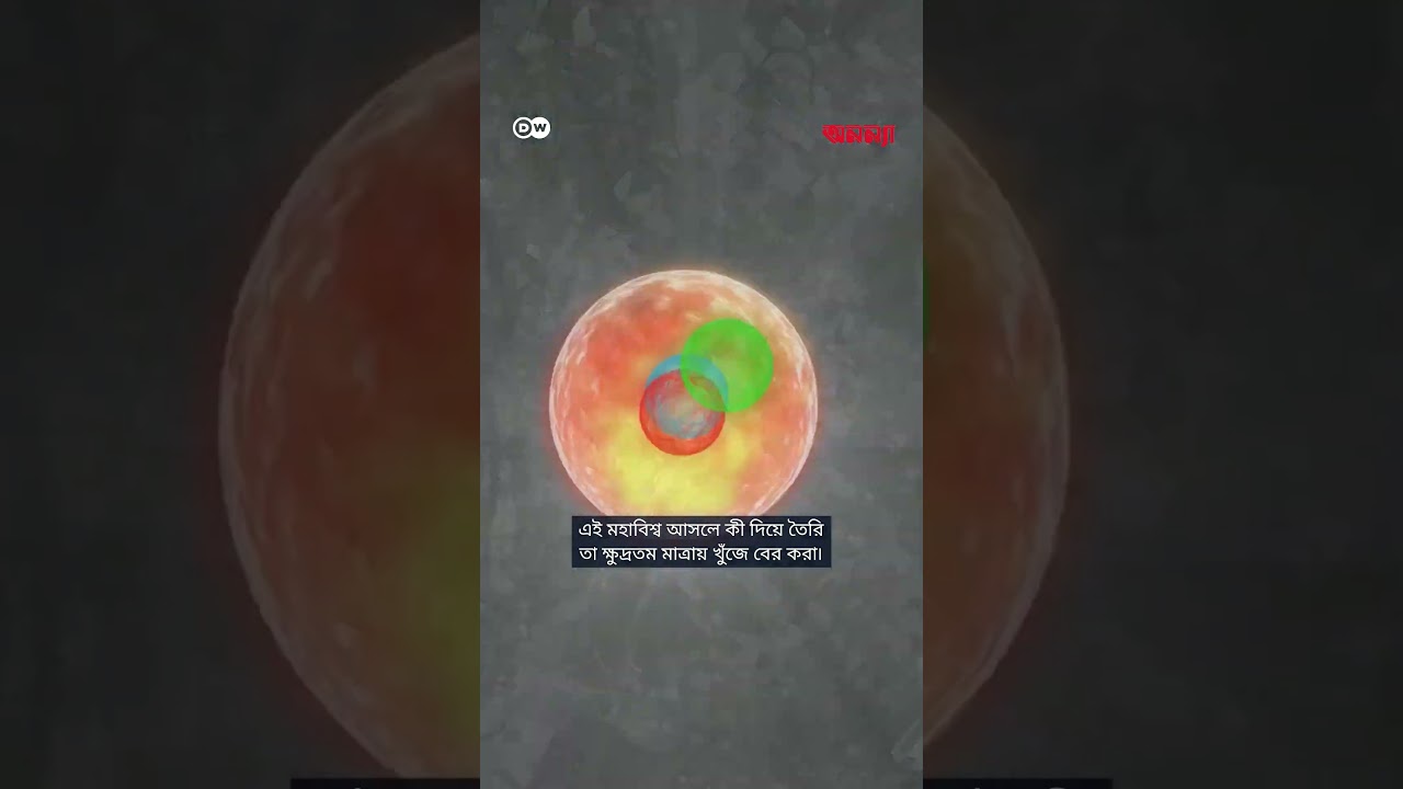 অন্তর্জালে ঘুরে বেড়ানোর জন্য সার্ন কোলাইডারকে ধন্যবাদ দিতে পারেন | Anannya | DW