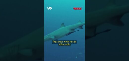 মালয়েশিয়ার শেষ যাযাবর গোষ্ঠী | Anannya | DW