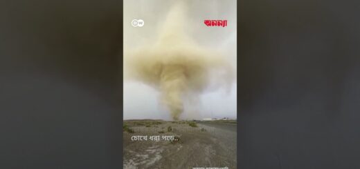 শারজাহ শহরে ধুলিঝড়ের বিস্ময়কর দৃশ্য | Anannya | DW