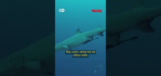 মালয়েশিয়ার শেষ যাযাবর গোষ্ঠী | Anannya | DW