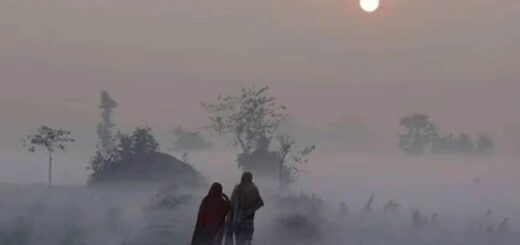 একটু উষ্ণতার খোঁজে…