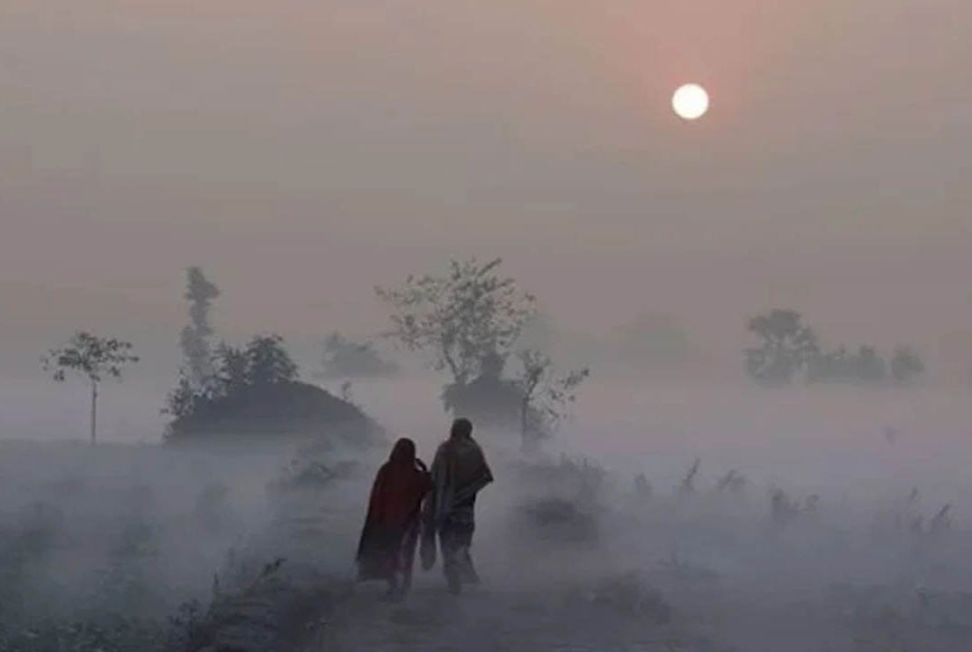একটু উষ্ণতার খোঁজে…