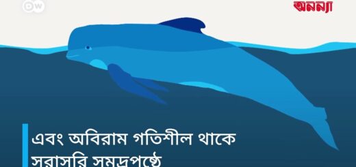 তিমিরা কি ঘুমায়? | Anannya | DW