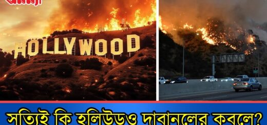 সত্যিই কি হলিউডও দা বা ন লে র কবলে?
