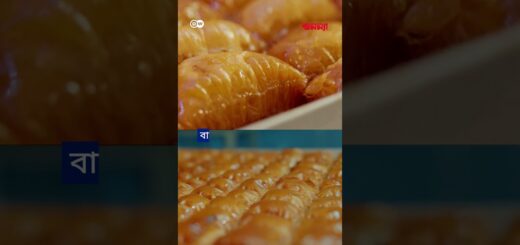 কোন বাকলাভা সবচেয়ে সুস্বাদু? | Anannya | DW | Food | Baklava