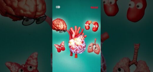হৃদপিণ্ড এক সুপার অর্গান | Anannya | DW | Health | Heart