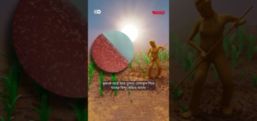 দেহ যেভাবে তাপমাত্রা নিয়ন্ত্রণ করে | Anannya | DW | Health | Body Temperature