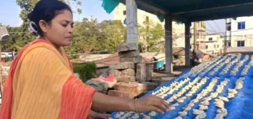 নারী উদ্যোক্তা মিনা সরকারের সাফল্যের গল্প