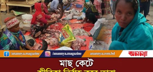 মাছ কেটে জীবিকা নির্বাহ করেন যারা | Fish Cutting | Professional Fish Cutter | Fish Market | Anannya