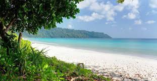 নির্জনতার নীল জমিনে