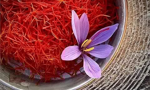 জাফরান এত দামি কেন?